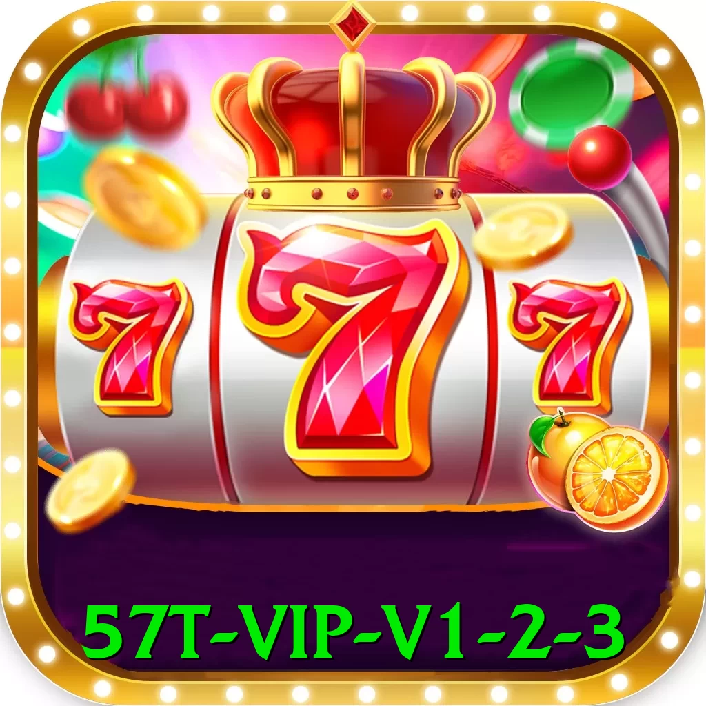 57t VIP v1.2.3 - app