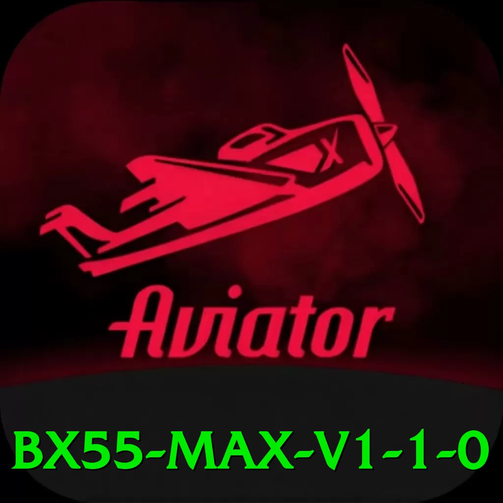 bx55 Max v1.1.0 - pro